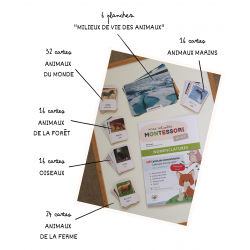 Nomenclature montessori des animaux : Français : Arabe