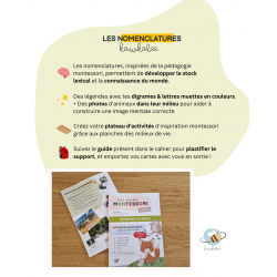 Nomenclature montessori des animaux : Français : Arabe