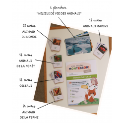 Nomenclature montessori des animaux : Français : Arabe