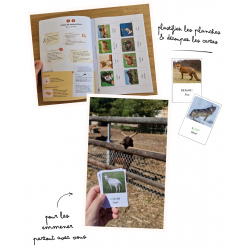 Nomenclature montessori des animaux : Français : Arabe