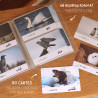 Mon cahier de nomenclatures des animaux Arabe