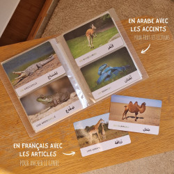 Mon cahier de nomenclatures des animaux Arabe