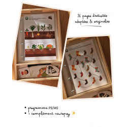 Votre cahier de vacances d'HIVER - Neuropsy & Montessori